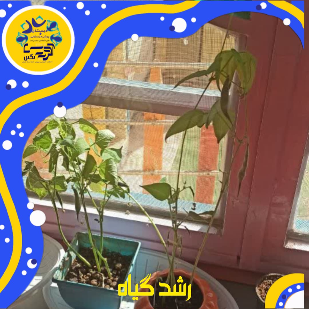 تصویر مقاله