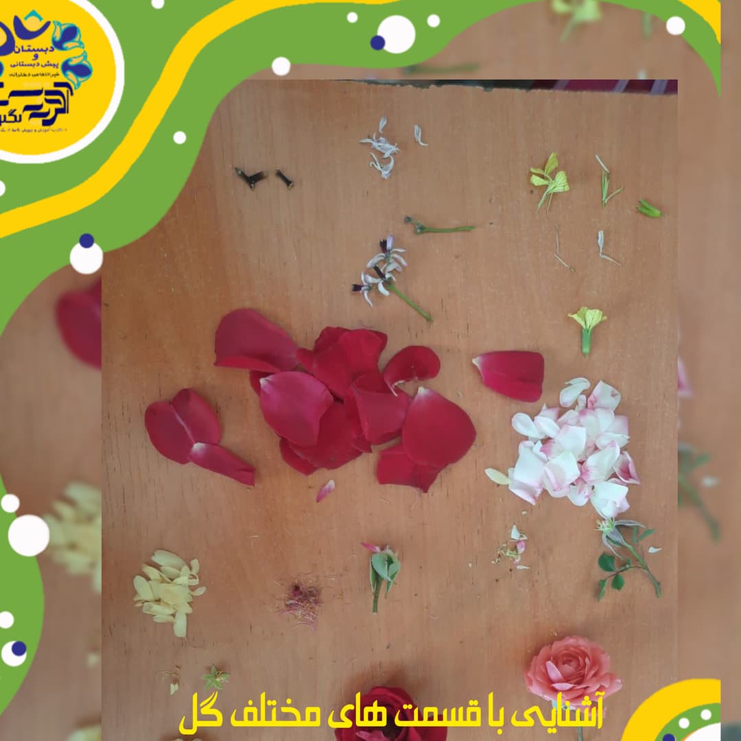 تصویر مقاله